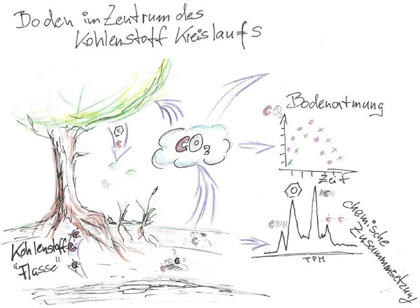 SDG4 Carsten Müller Zeichnung CMü