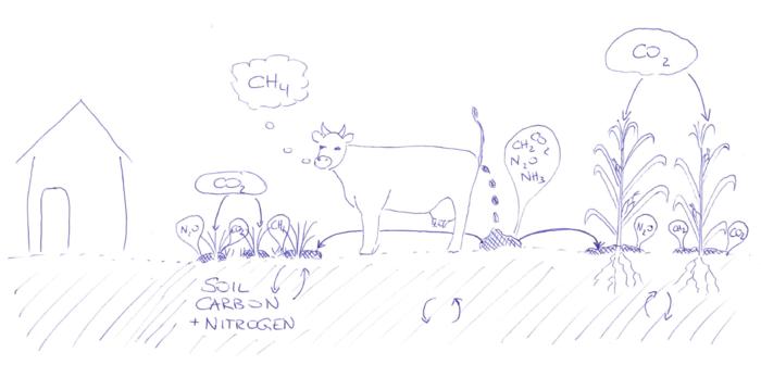 SonjaLeitner Drawing