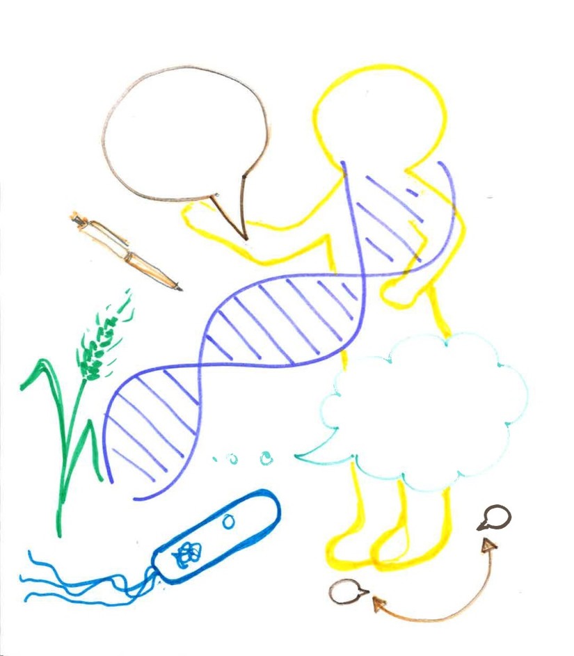 4 BG